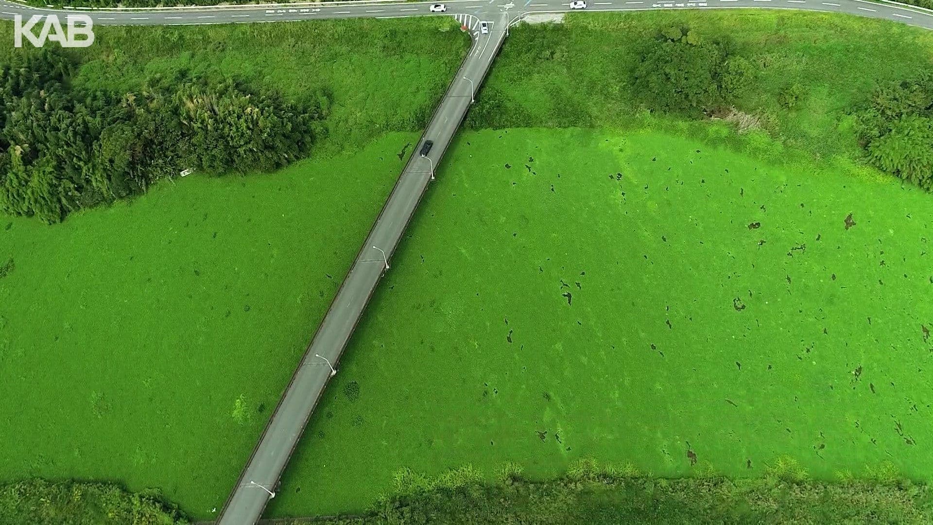 メイン記事画像