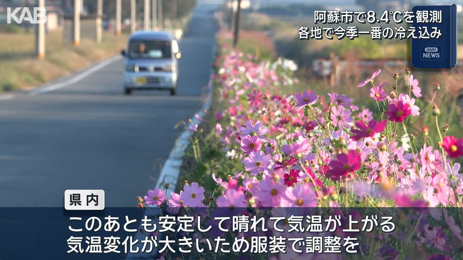 写真6