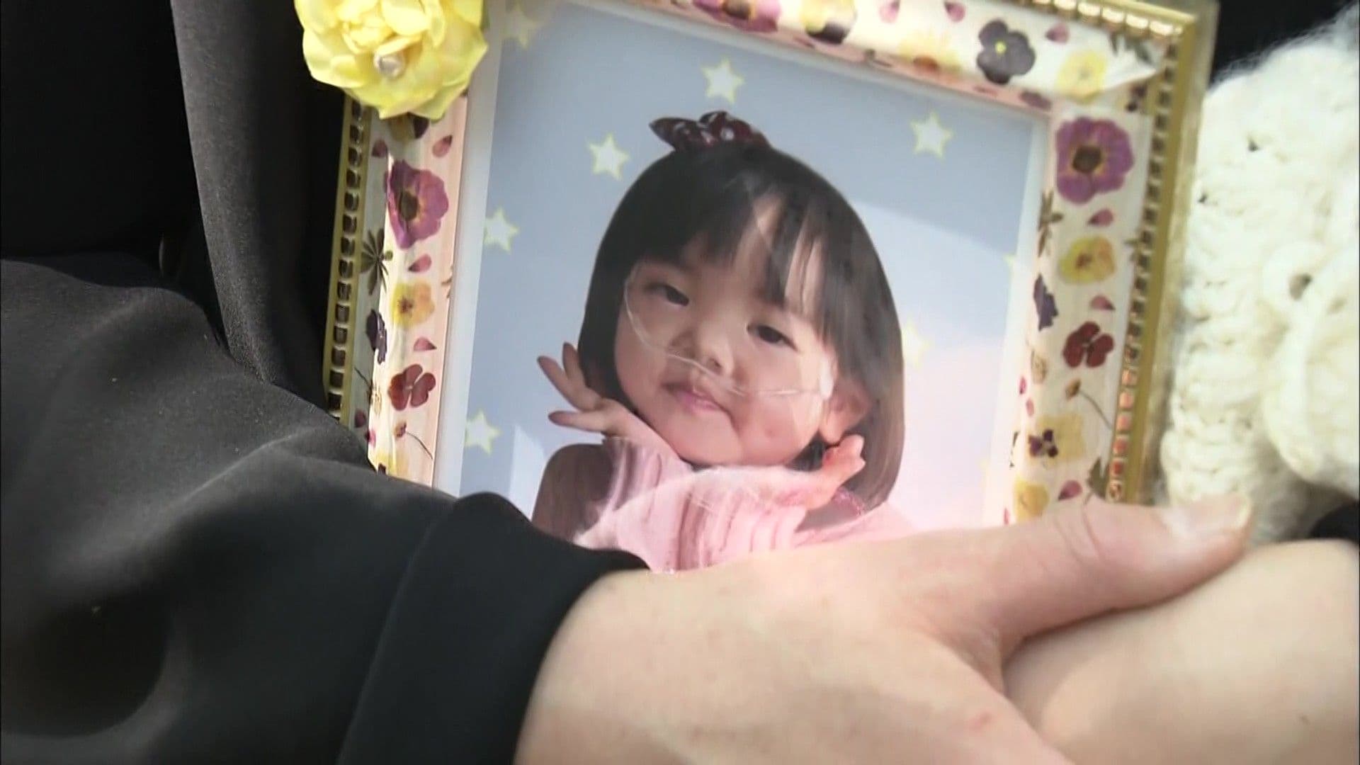 メイン記事画像