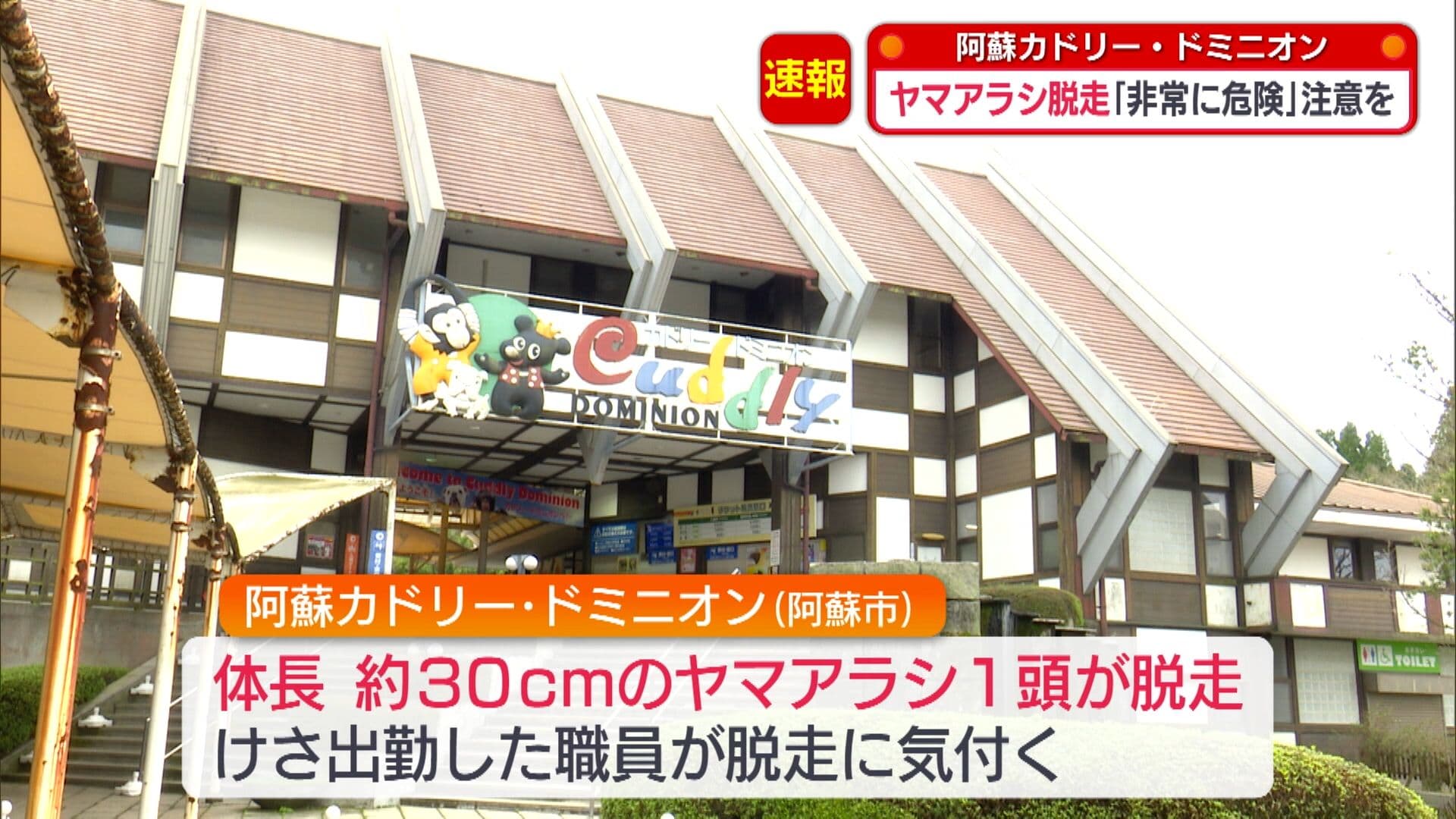 写真4