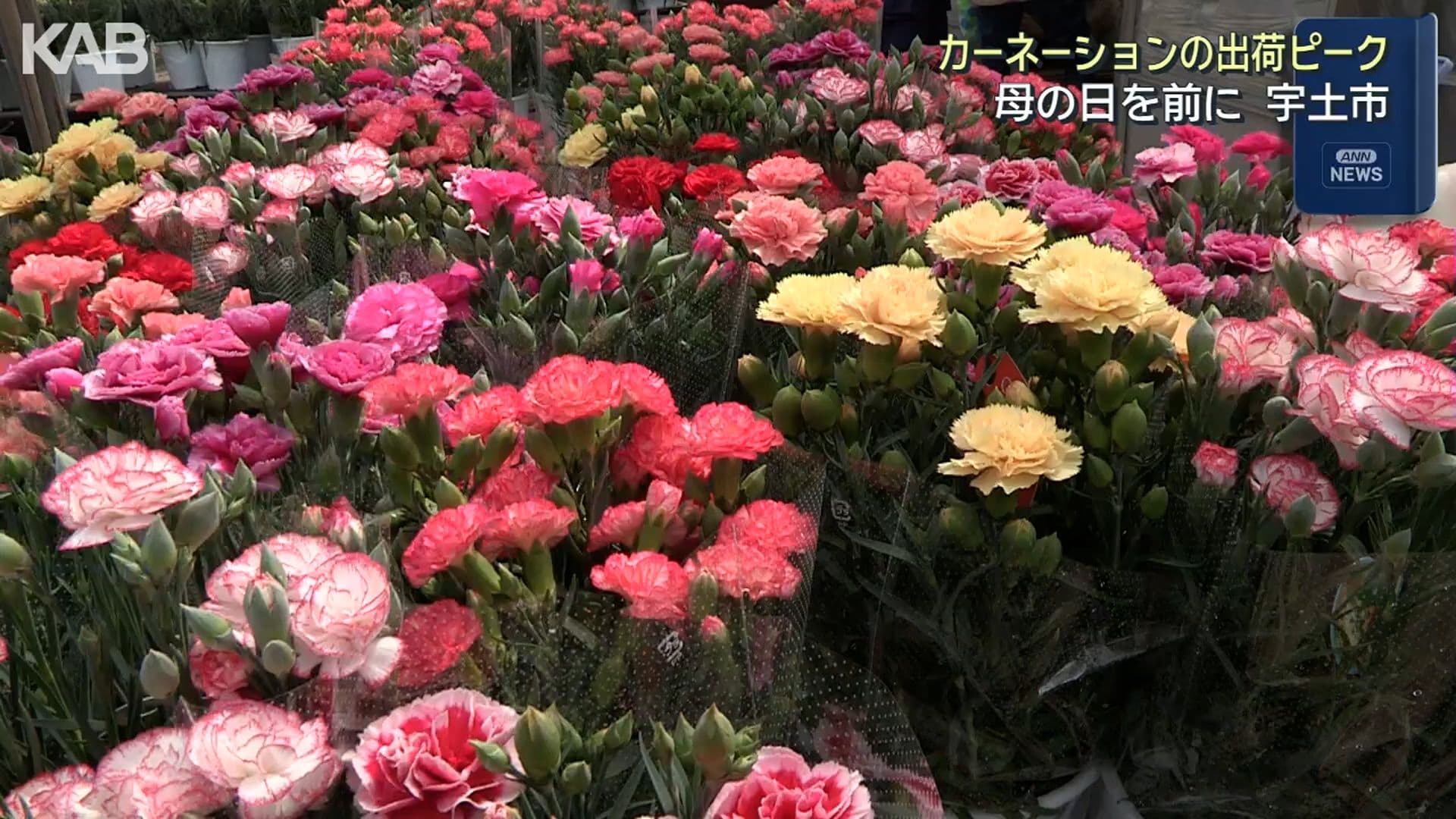 写真5