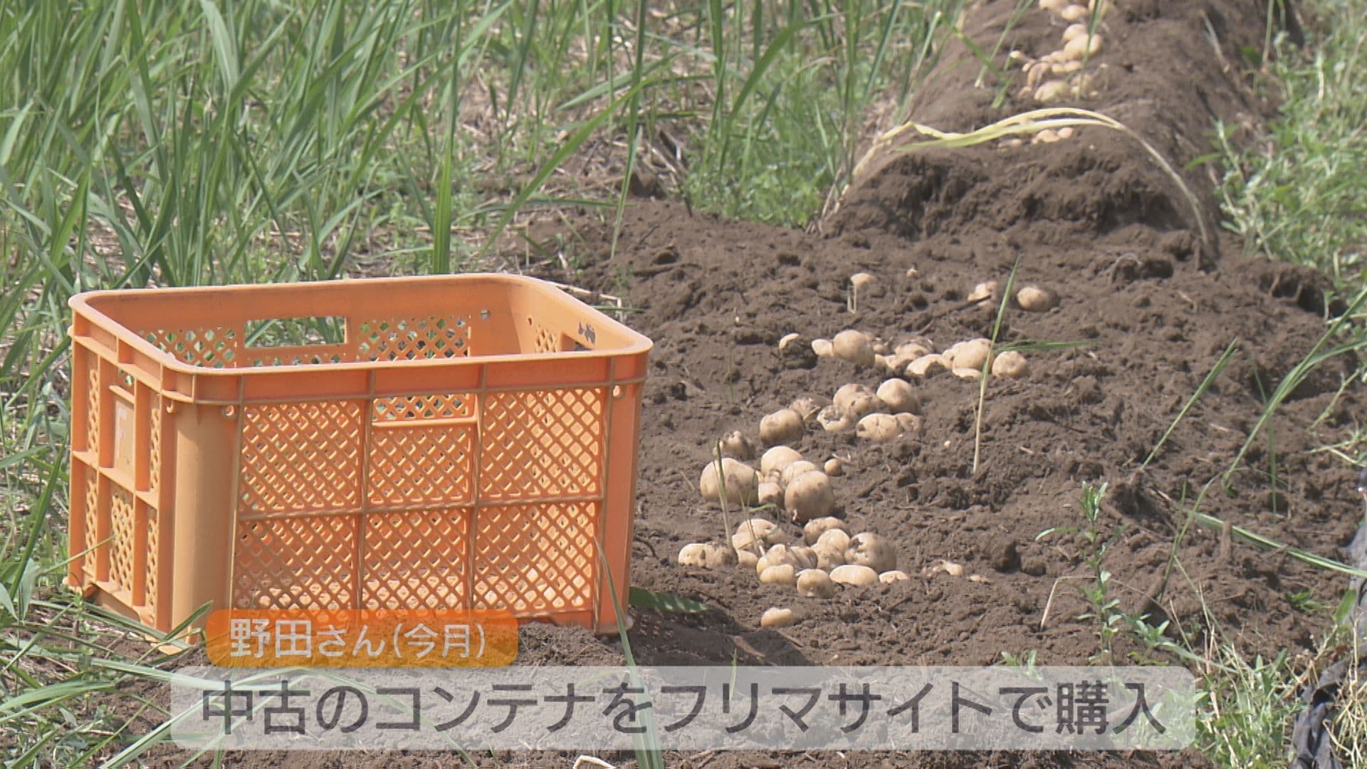 写真3