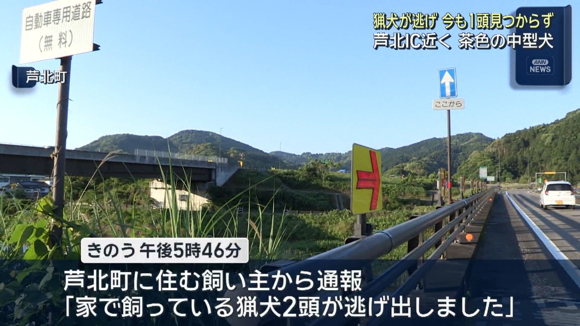 写真2