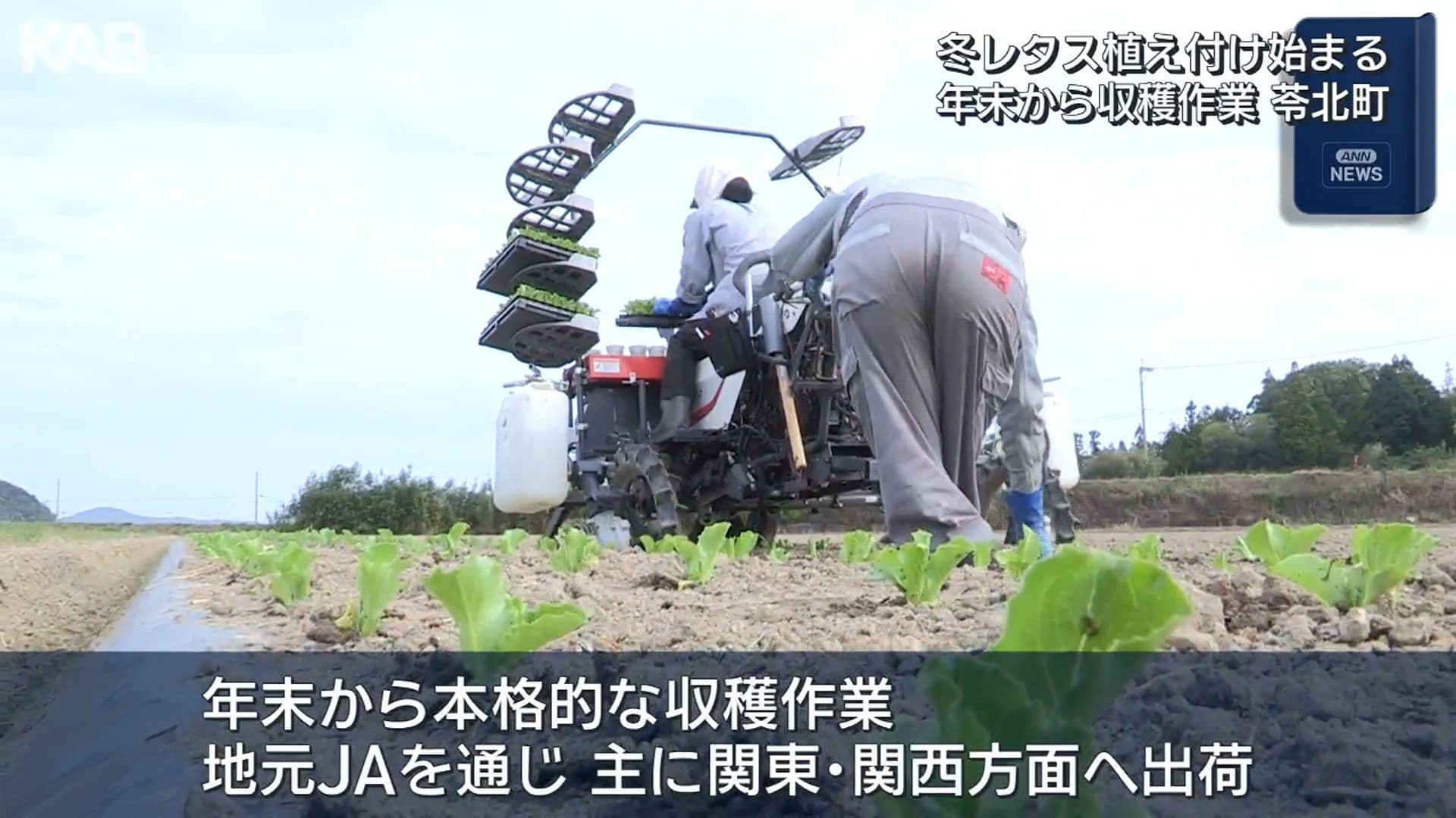 写真2