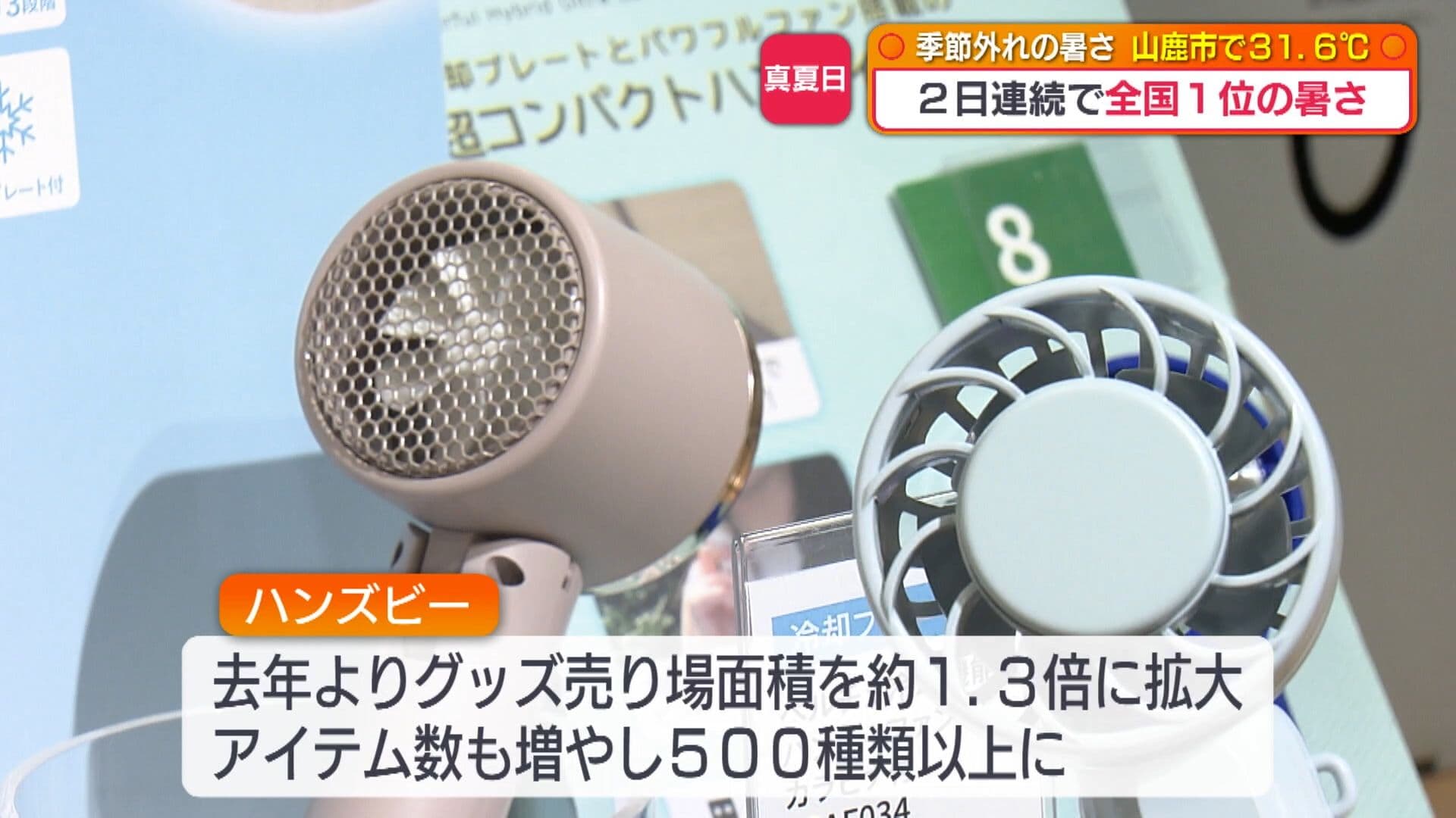 写真5
