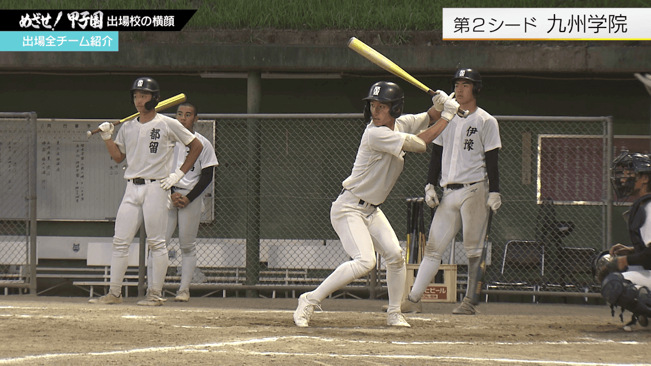 写真6