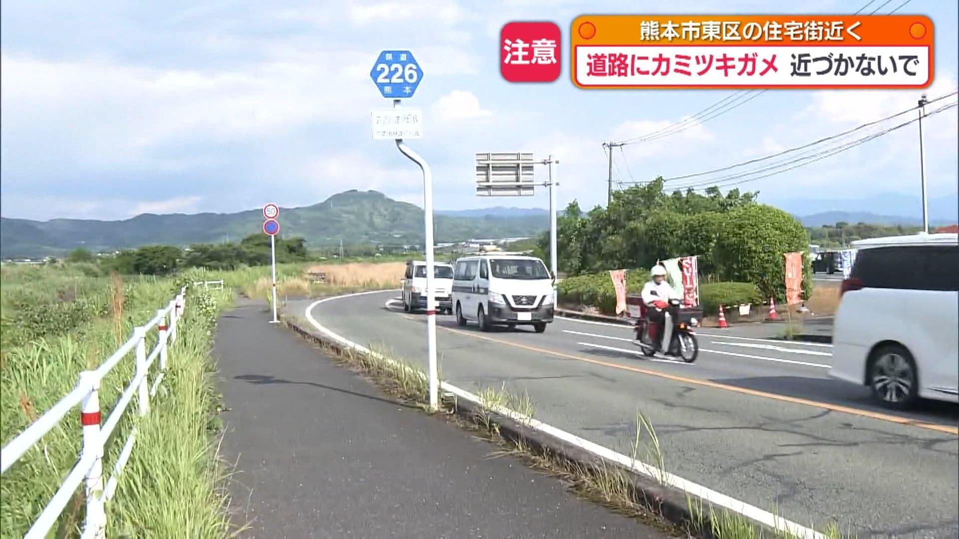 写真5