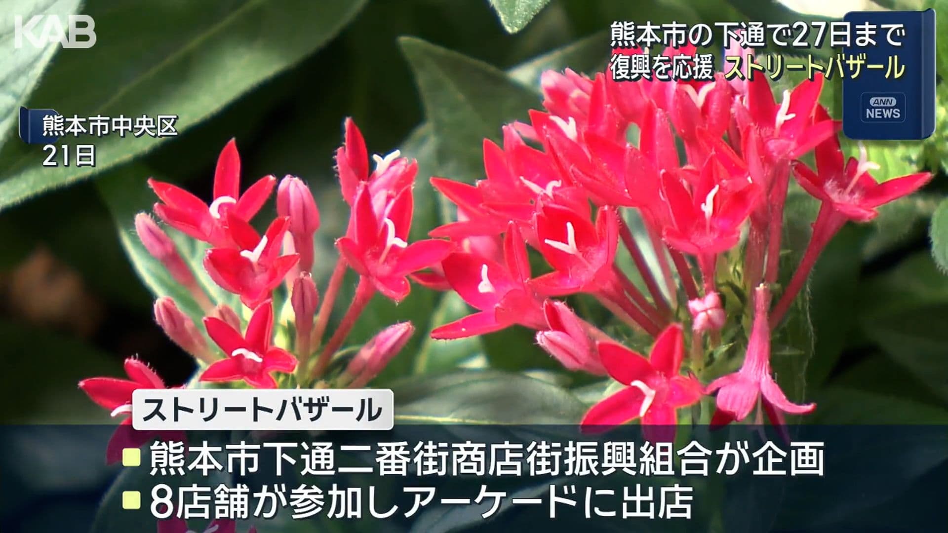 写真2