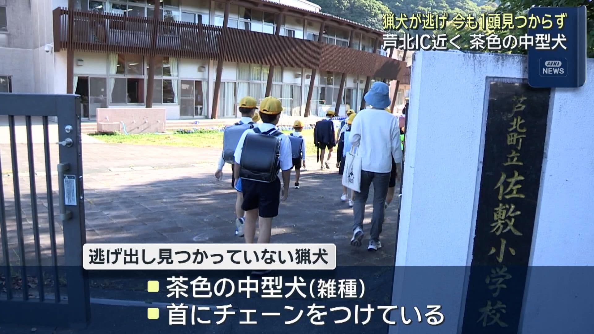 メイン記事画像