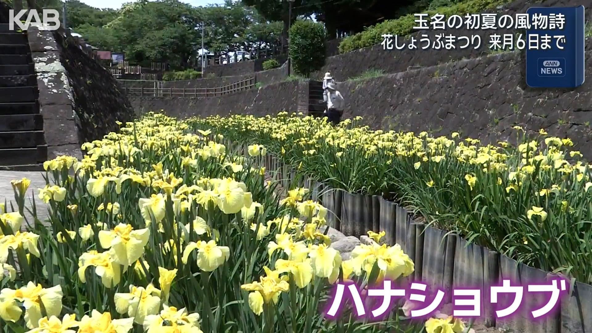 写真2