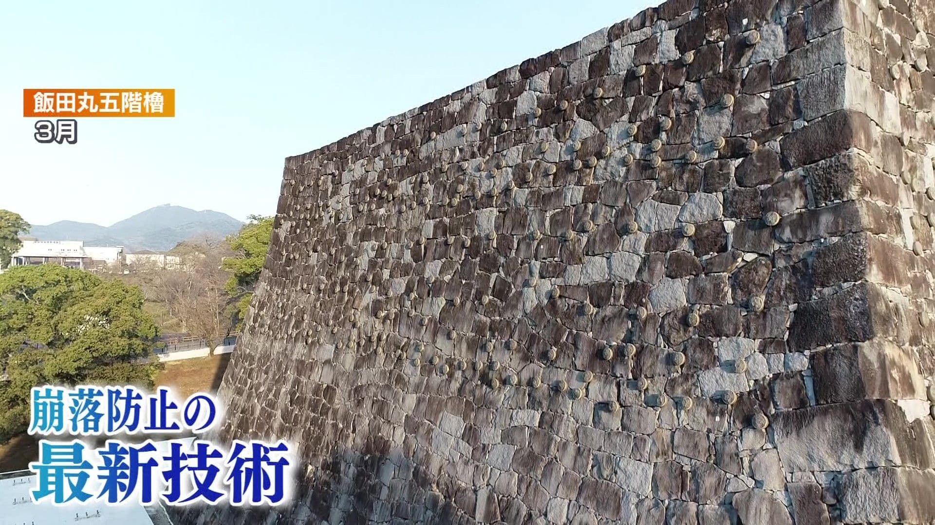 写真9