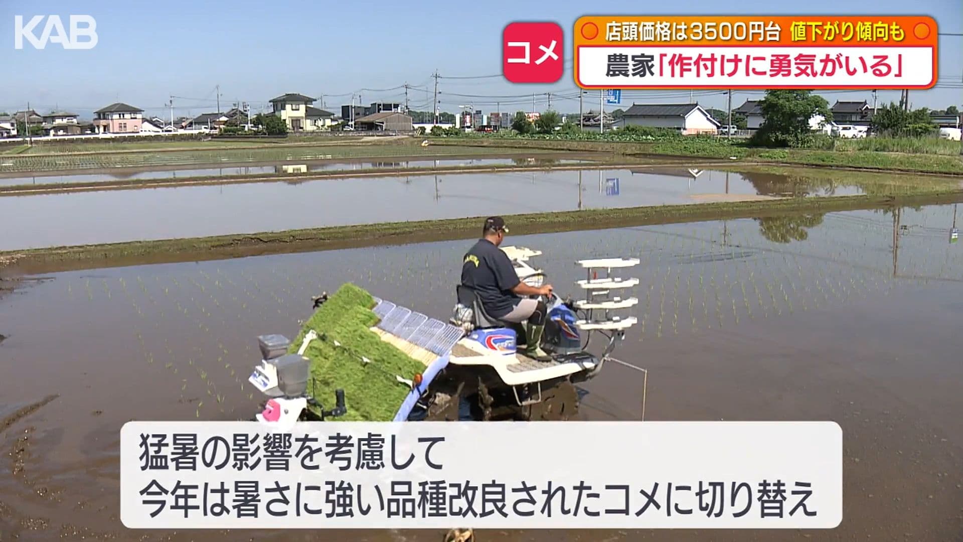 写真11