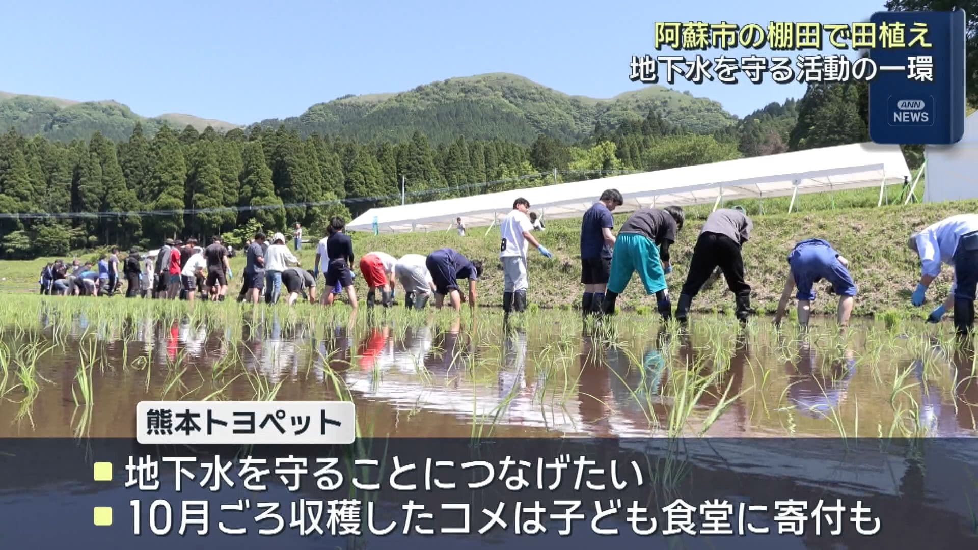 写真6