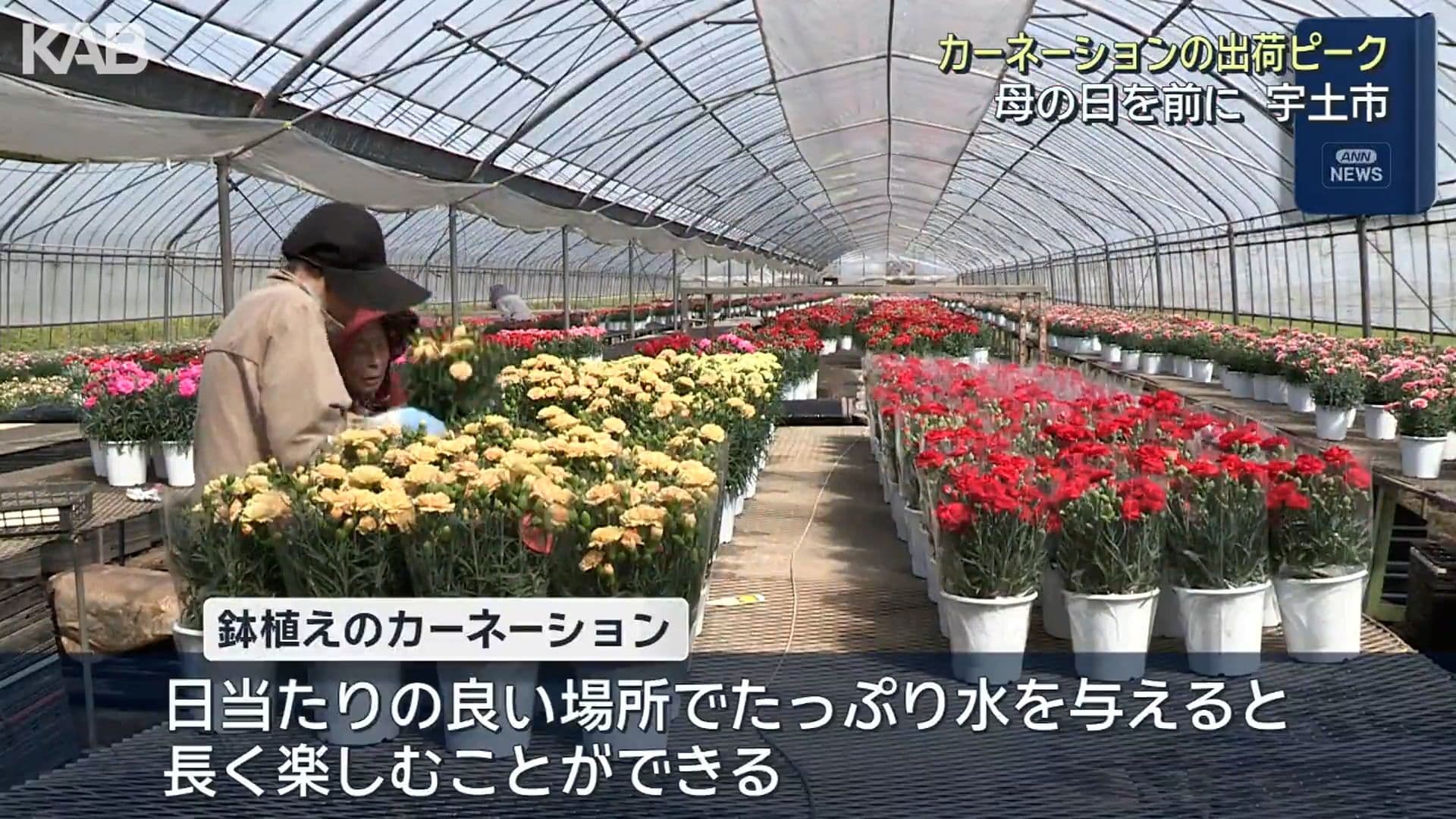 写真6