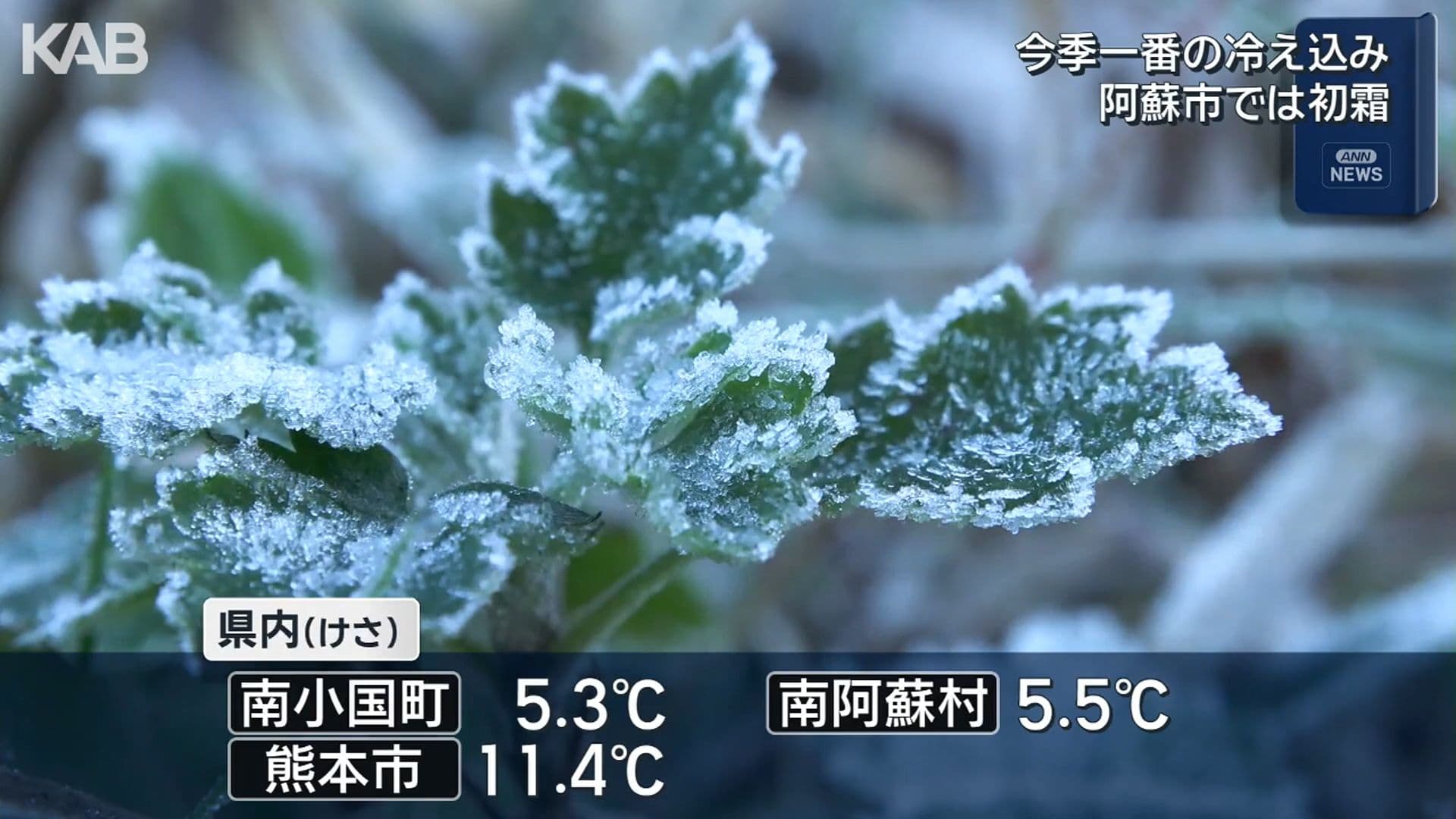 写真6