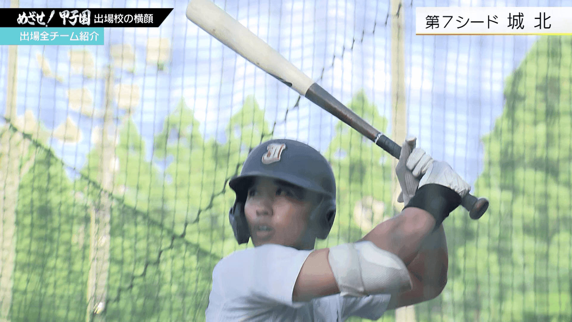 写真5