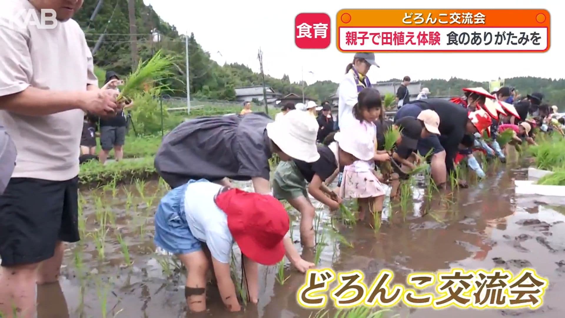 写真2