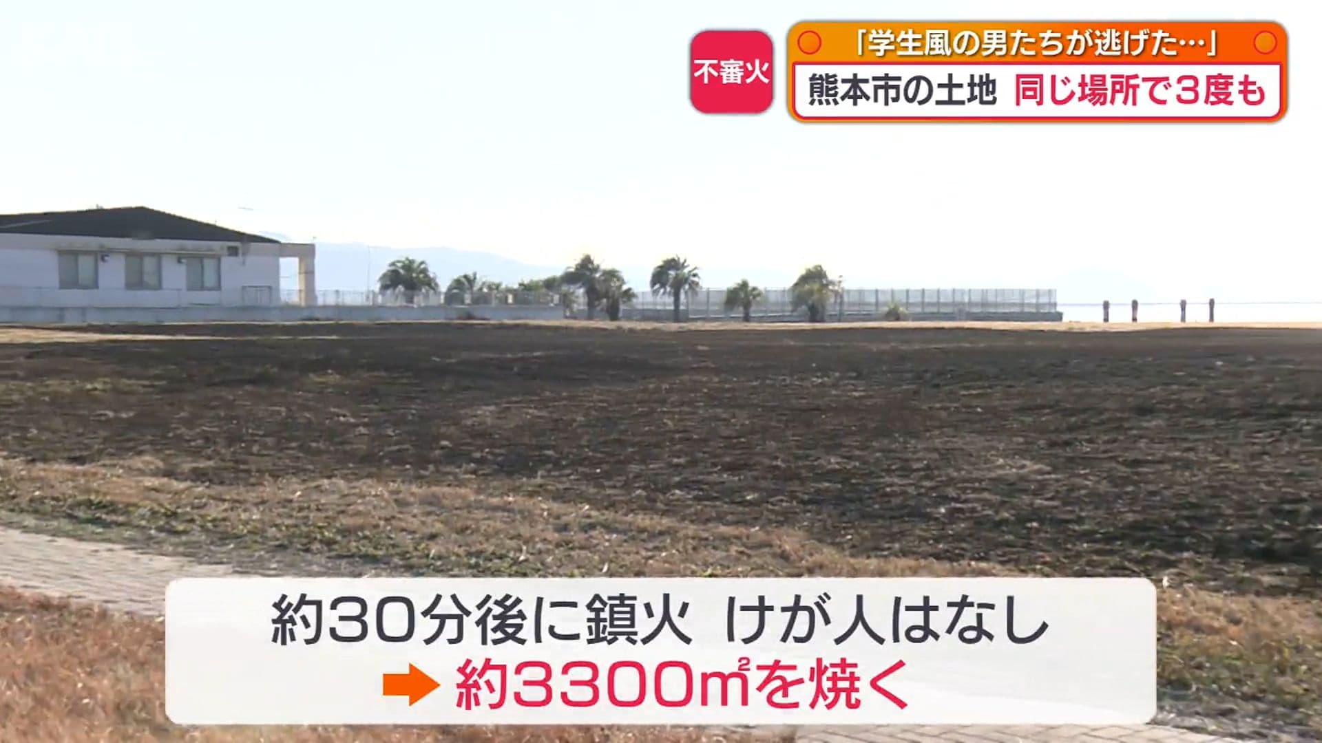 メイン記事画像