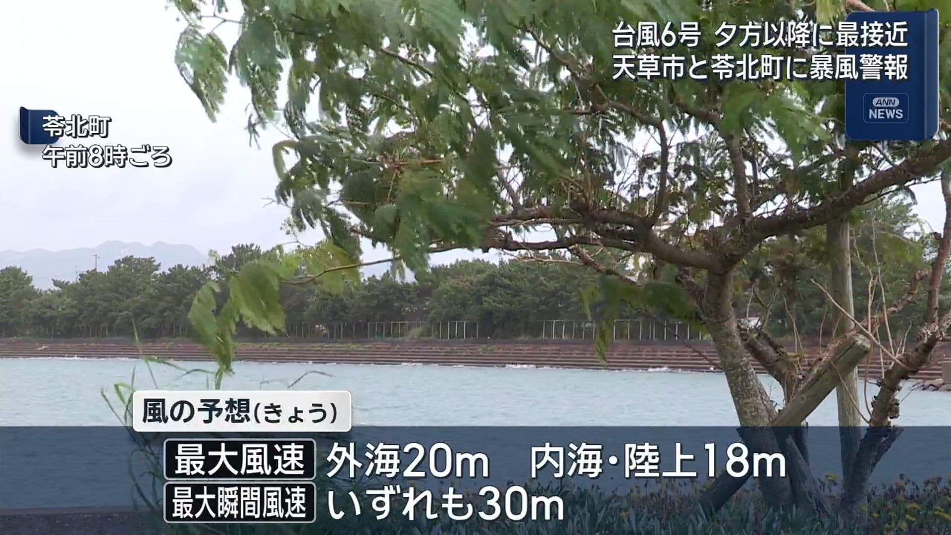 写真3