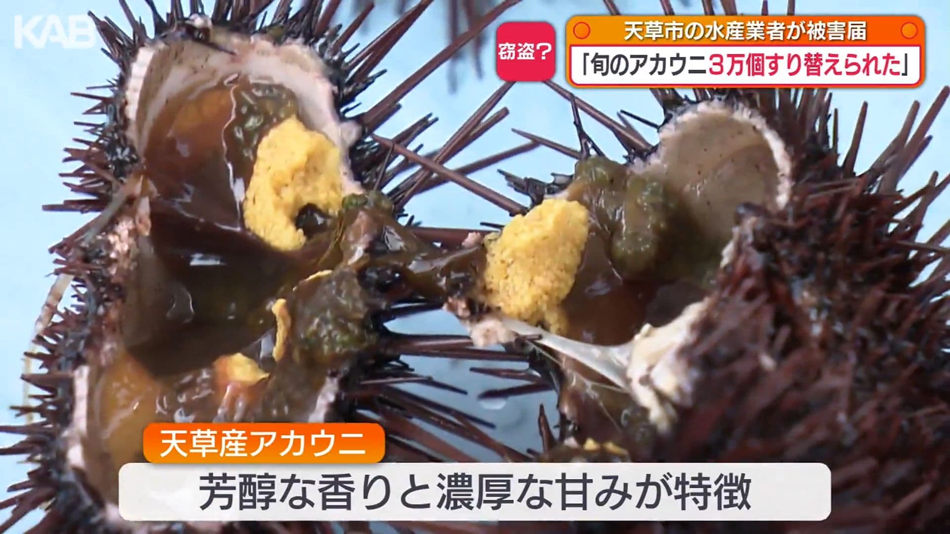 写真3
