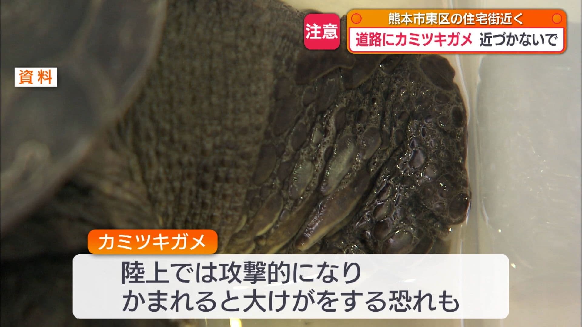 写真3