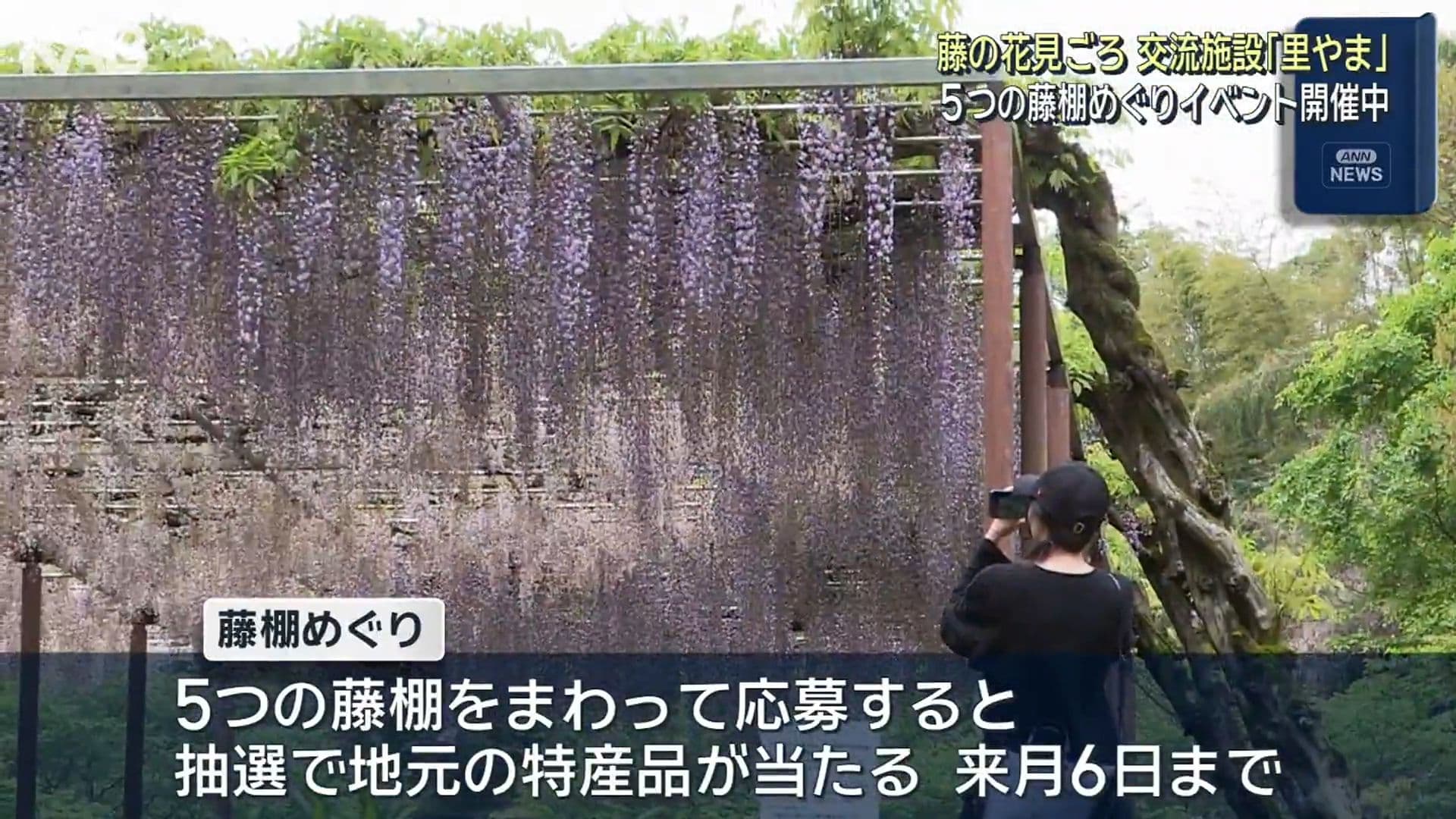 メイン記事画像