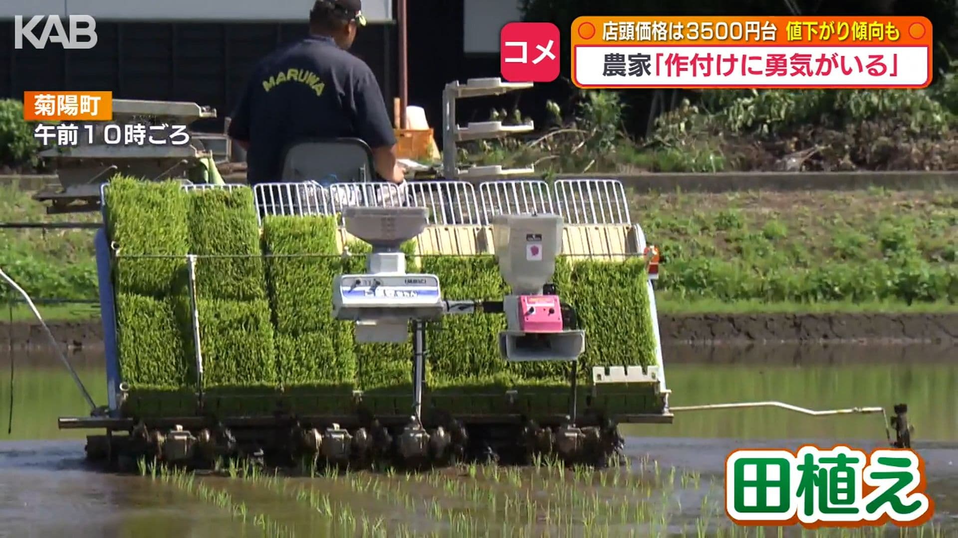 写真6