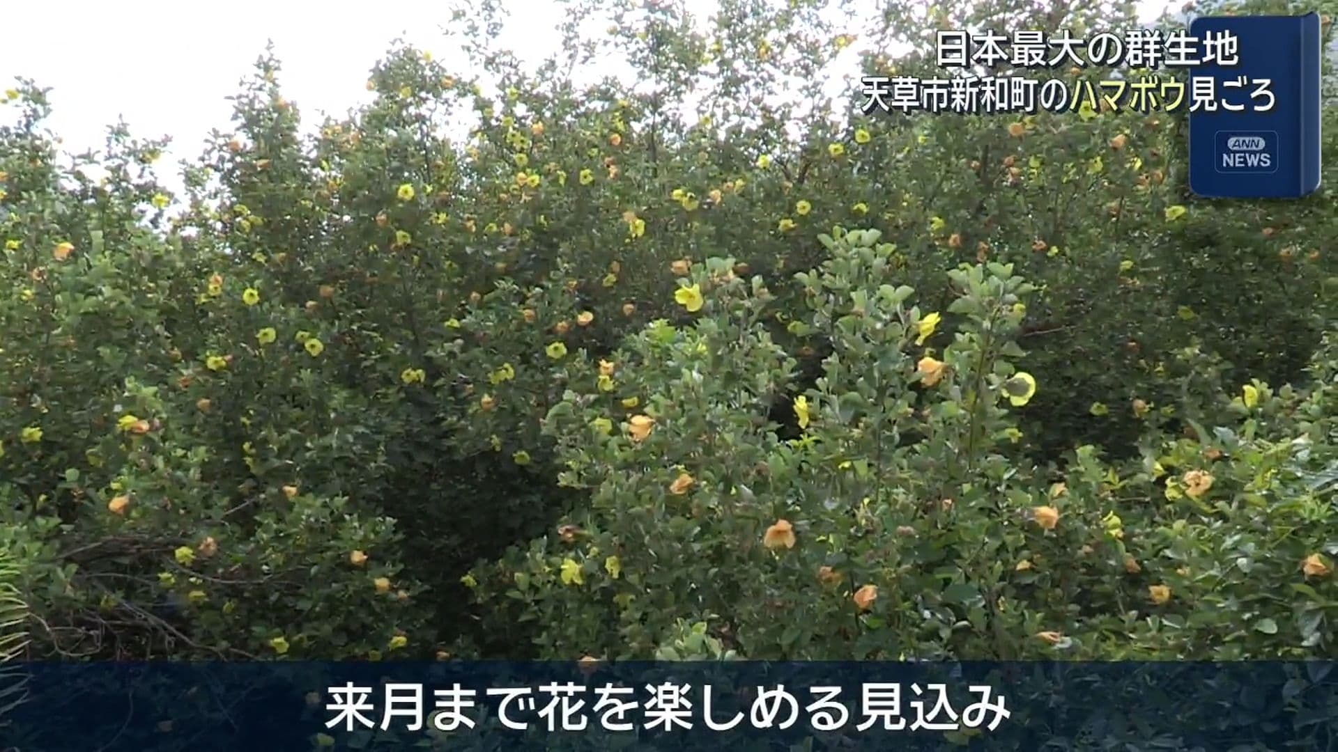 写真4