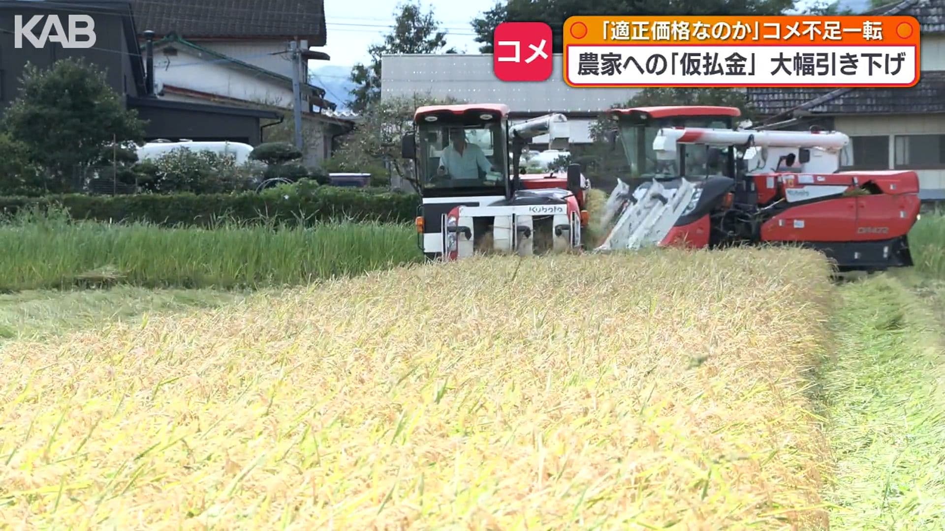 写真4