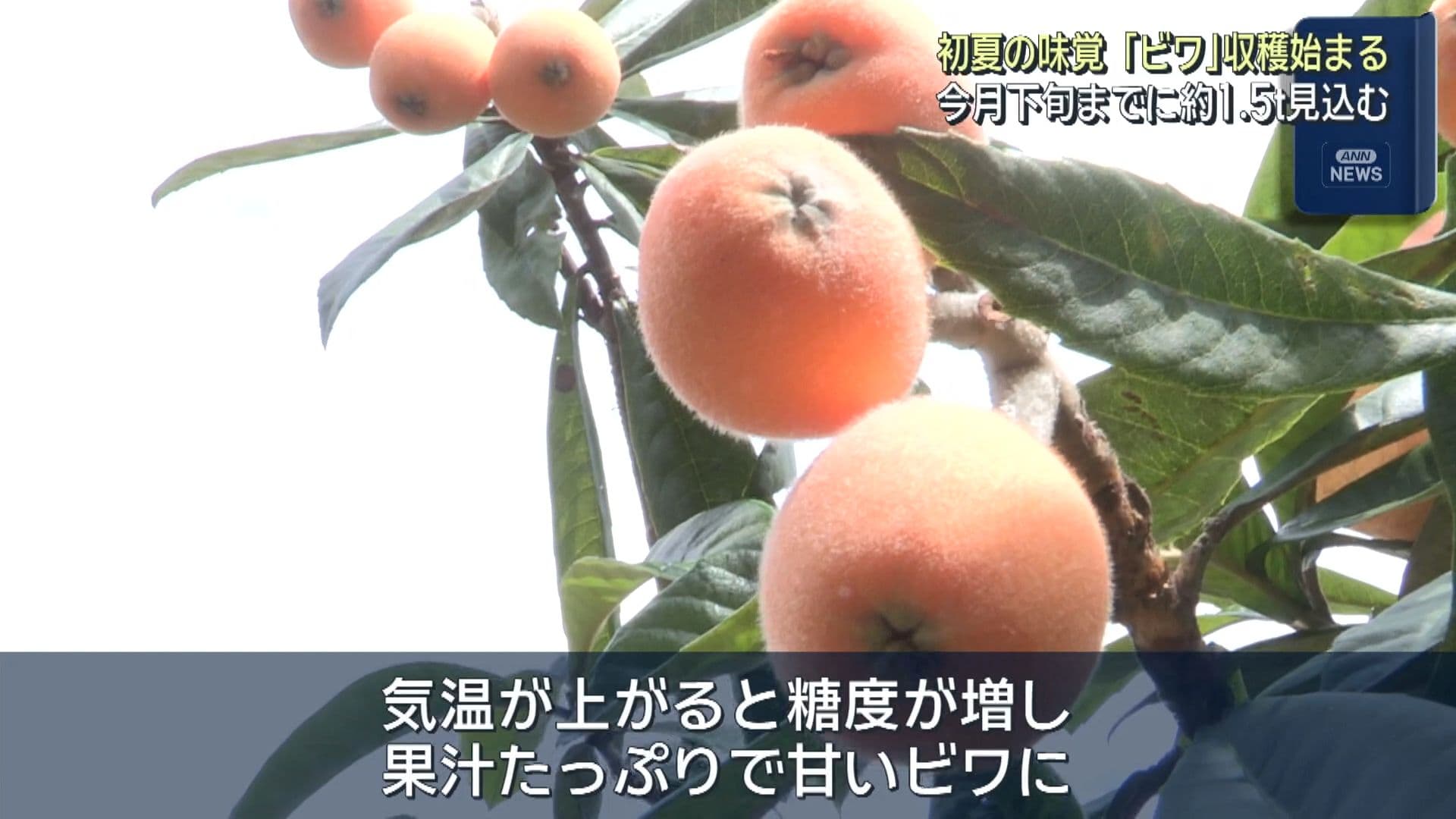写真3