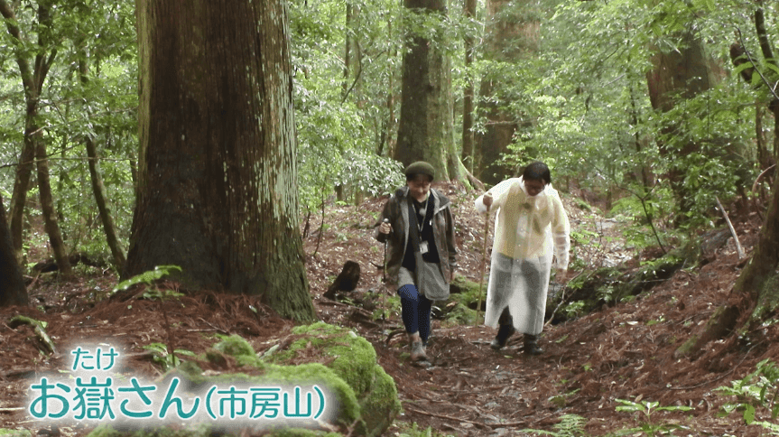 写真14