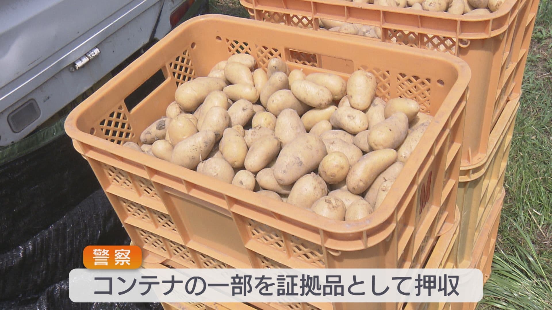 写真7