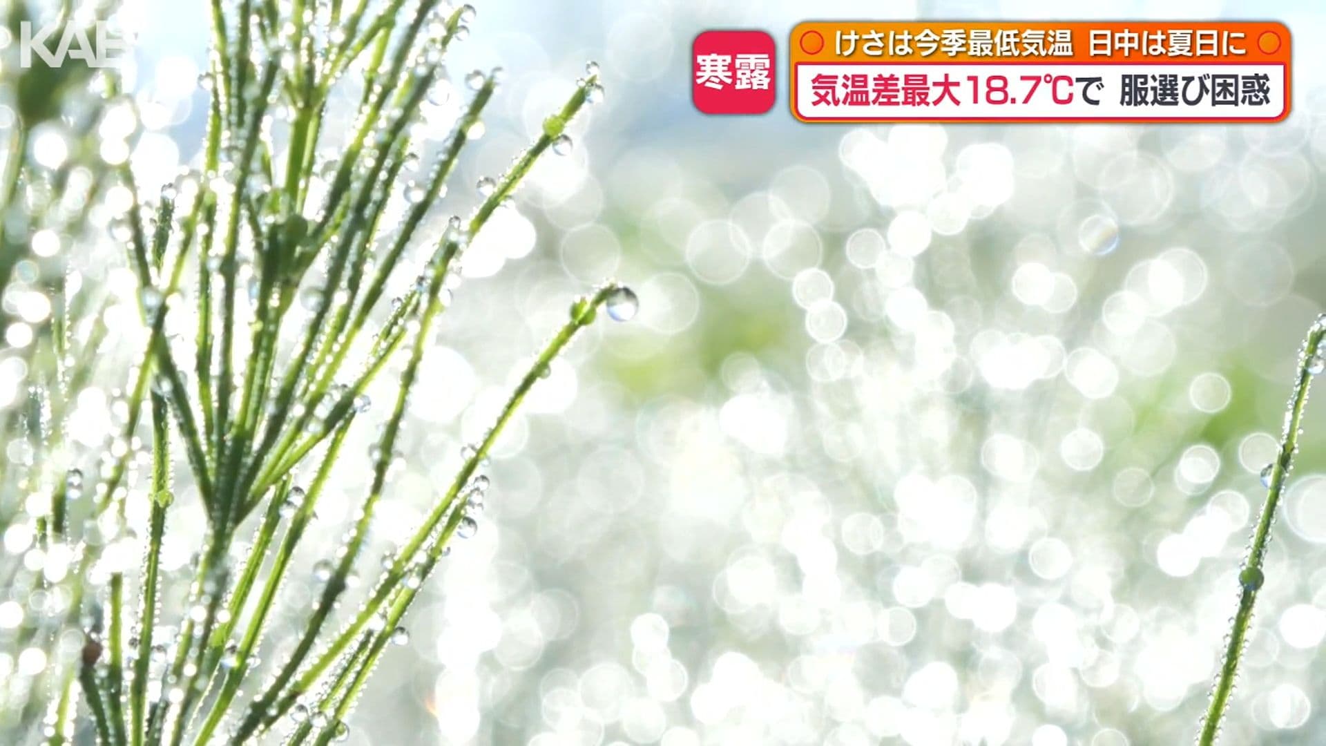 写真6