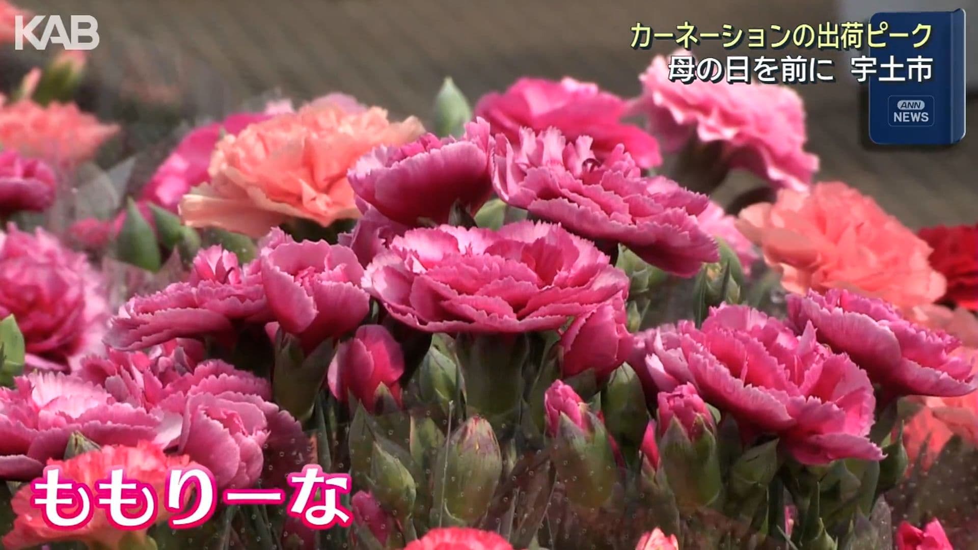 写真3