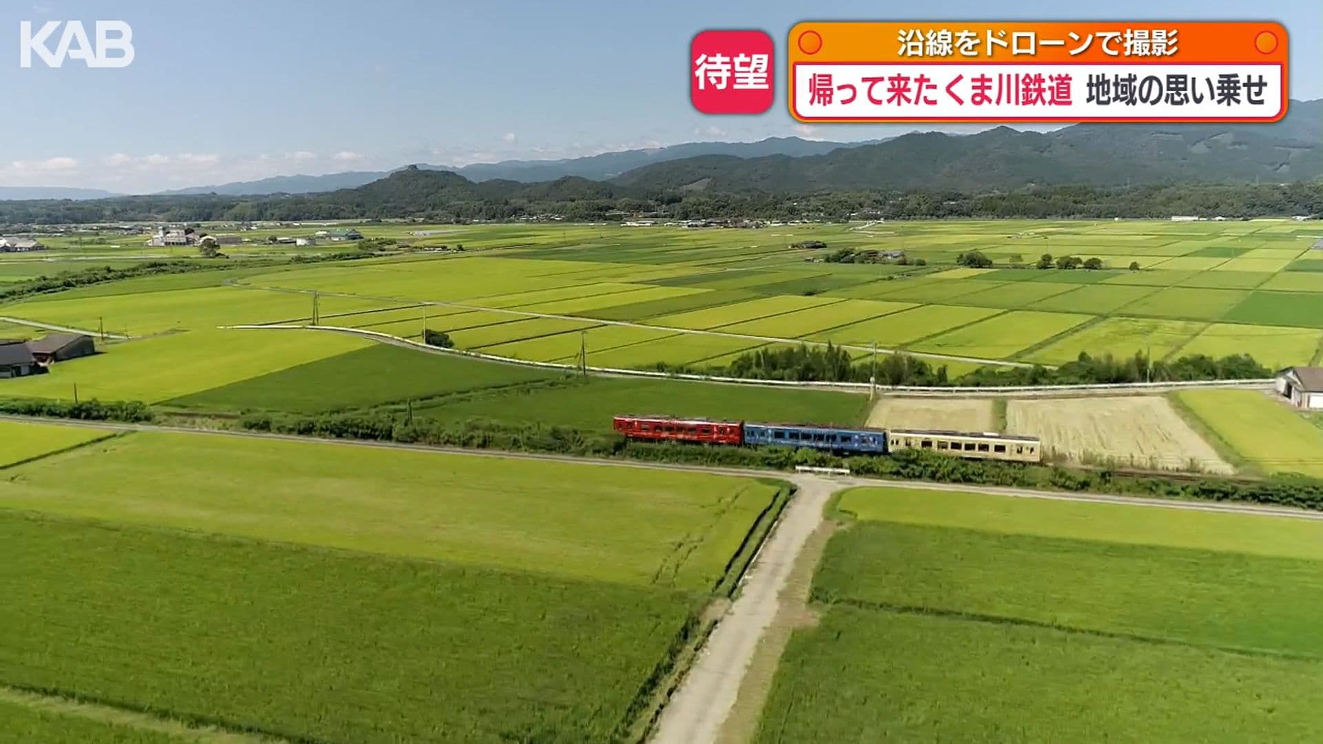 写真11