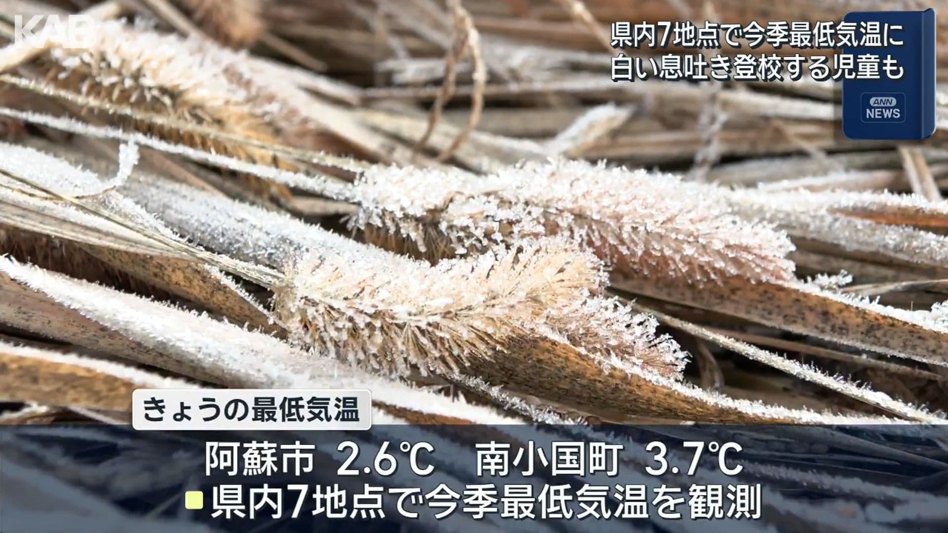 写真2