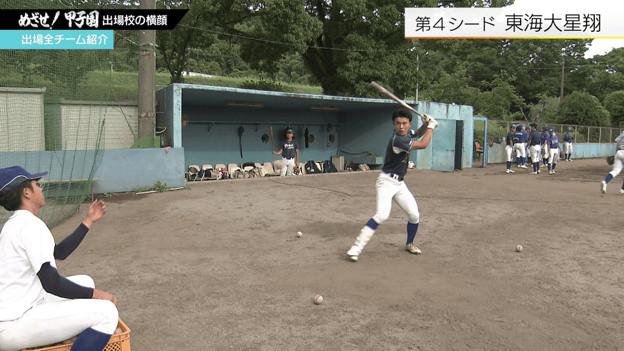 写真7