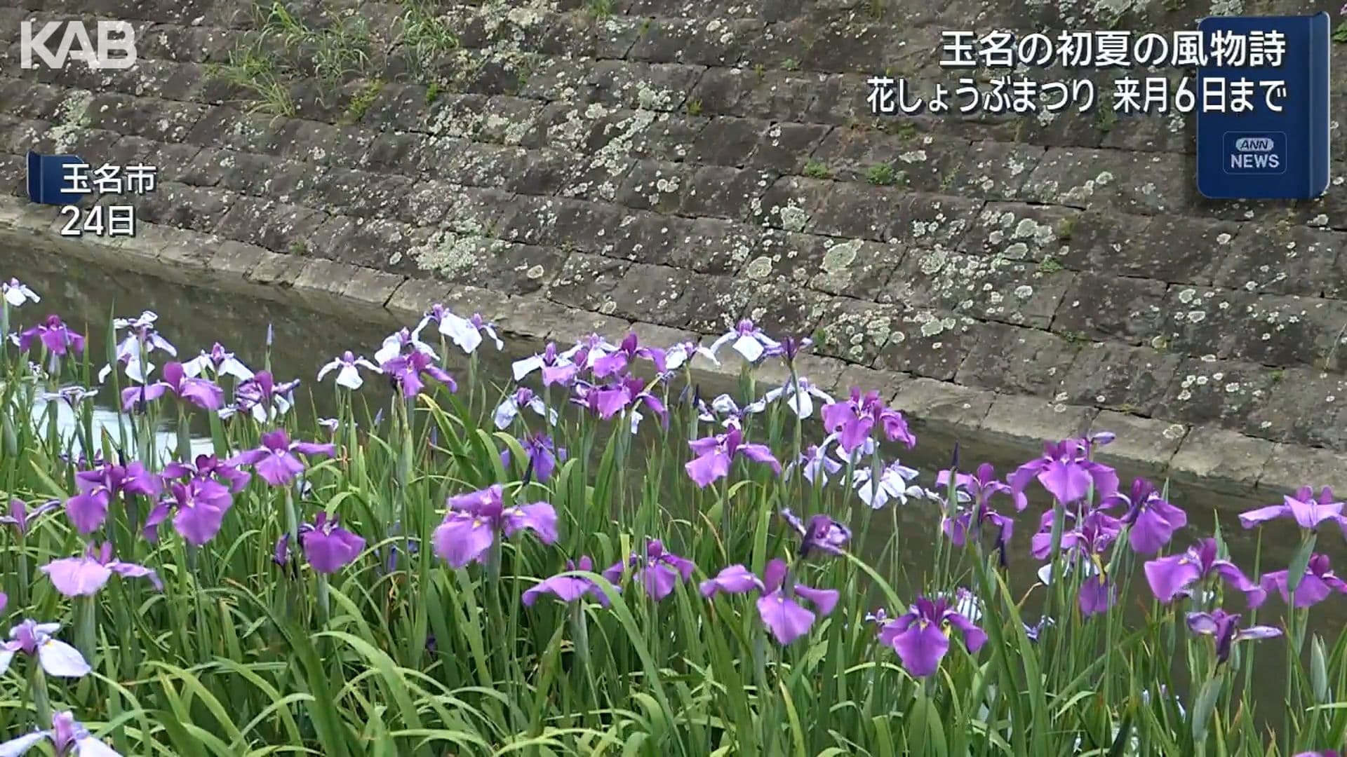 写真3