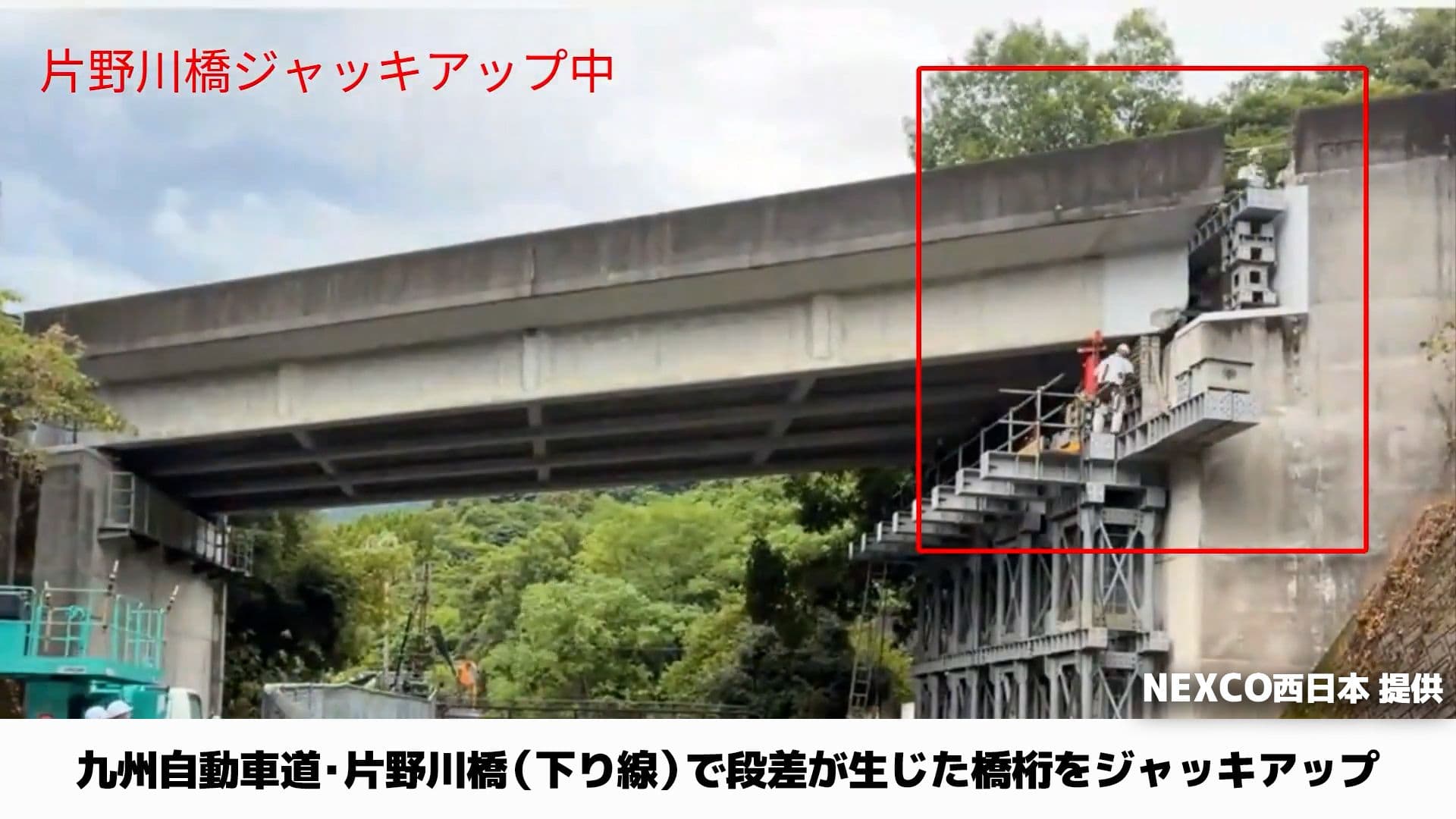 写真3