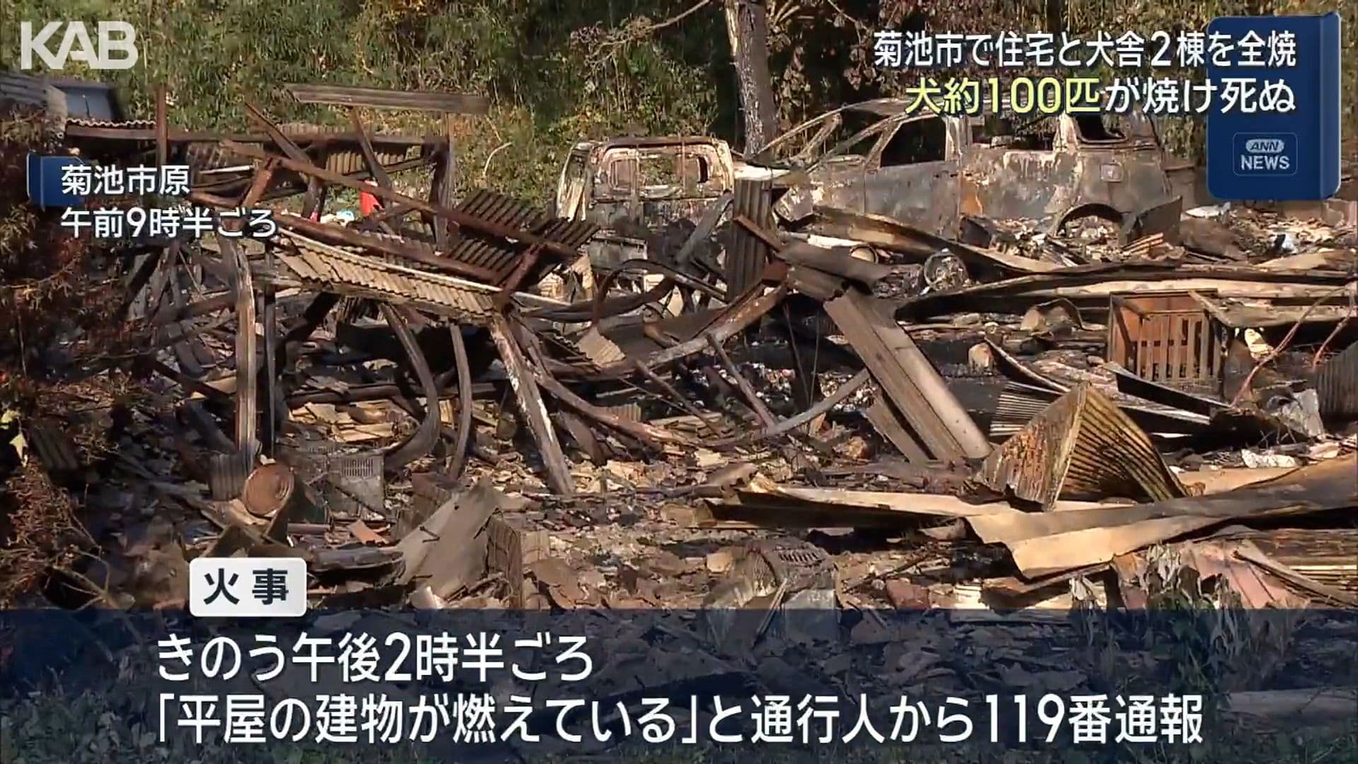 メイン記事画像