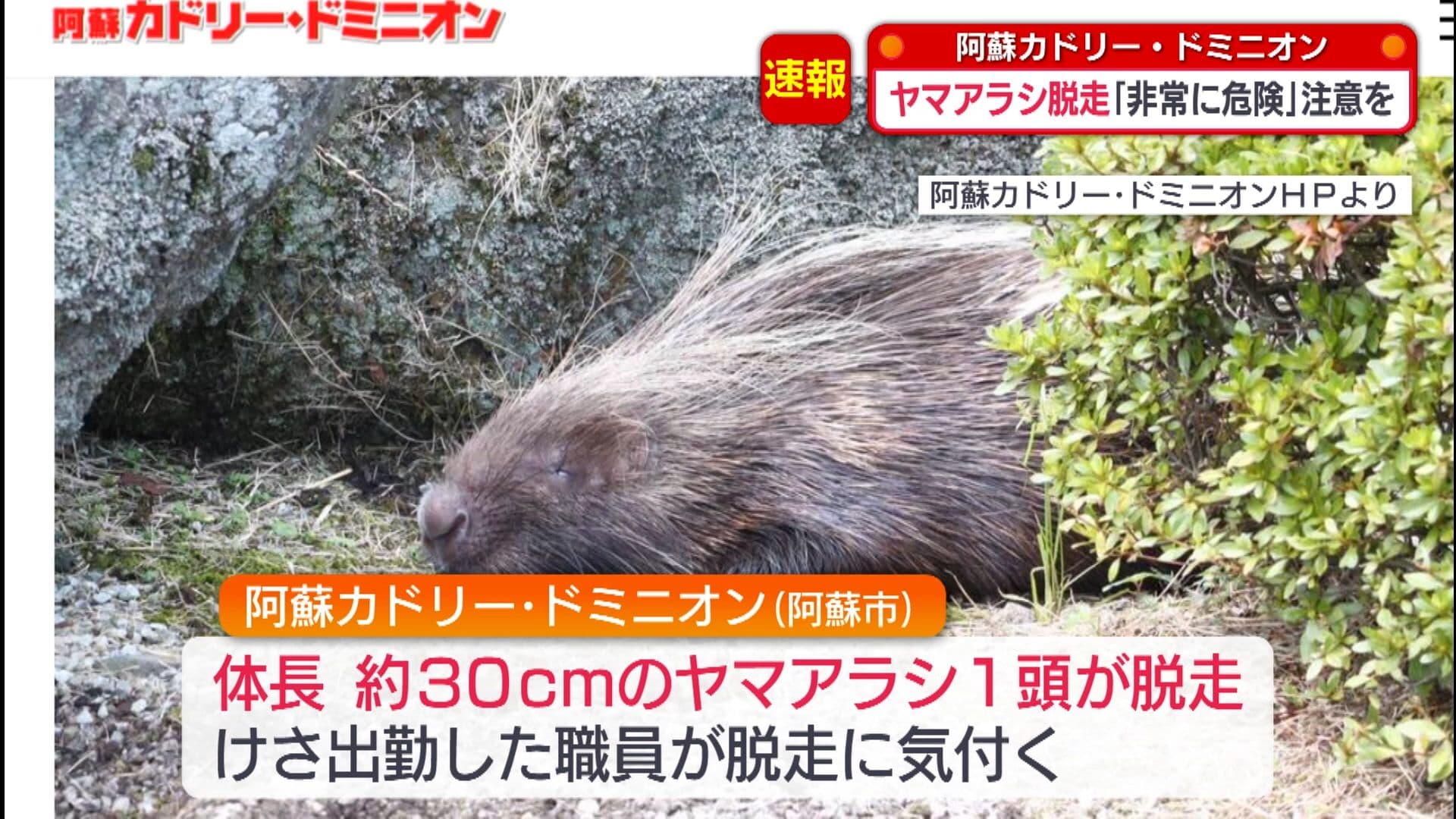 メイン記事画像