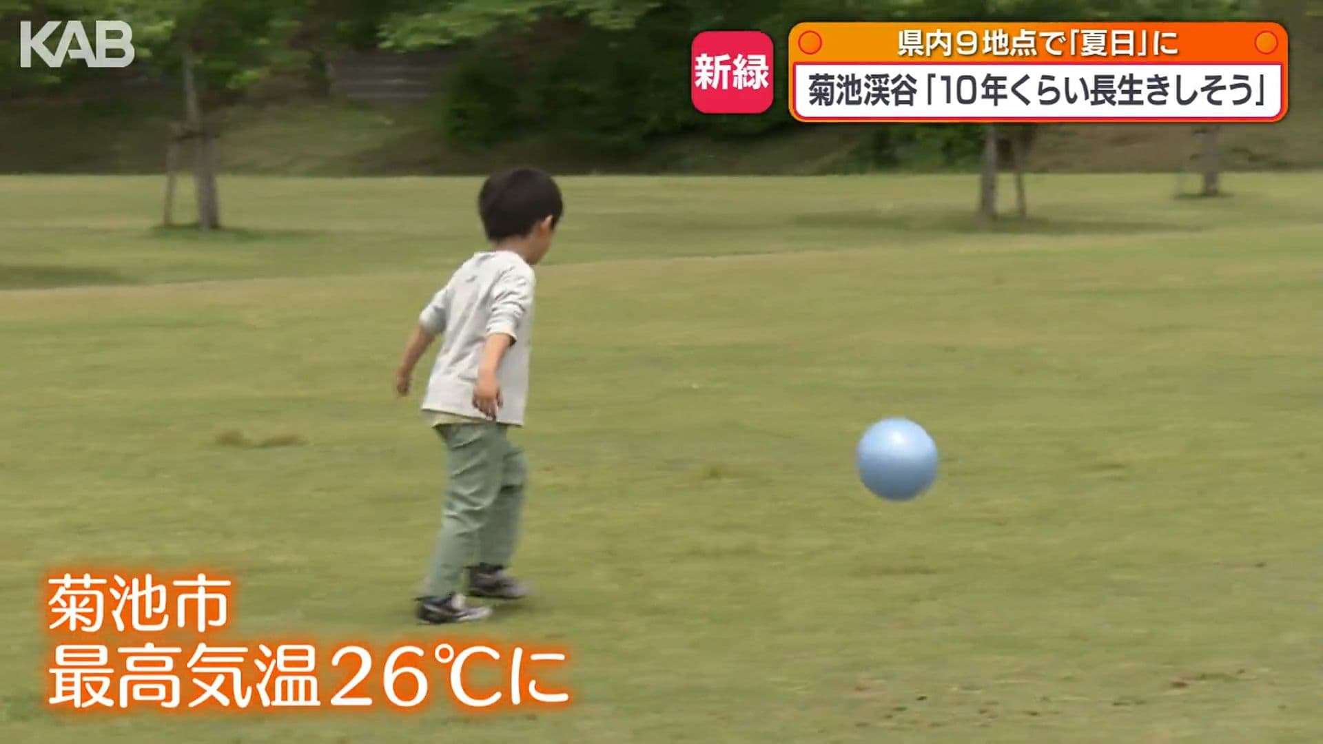 写真3