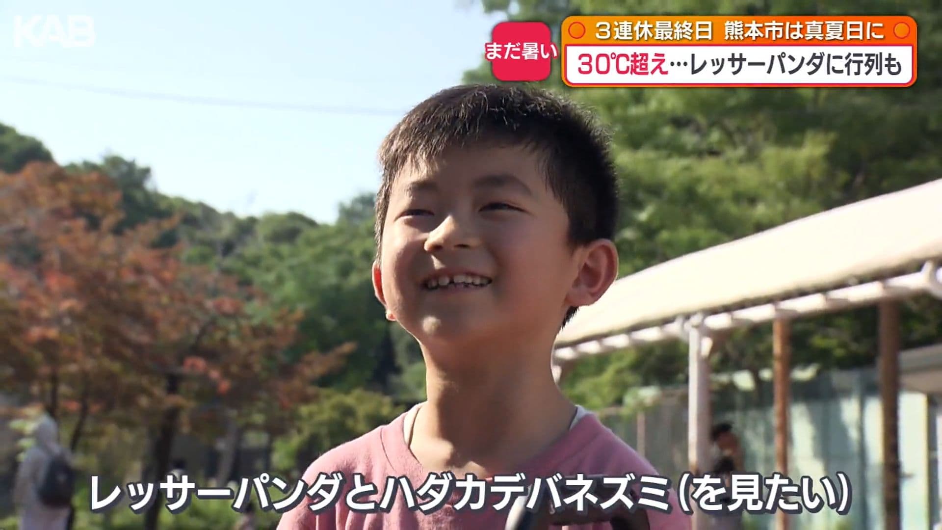 写真4
