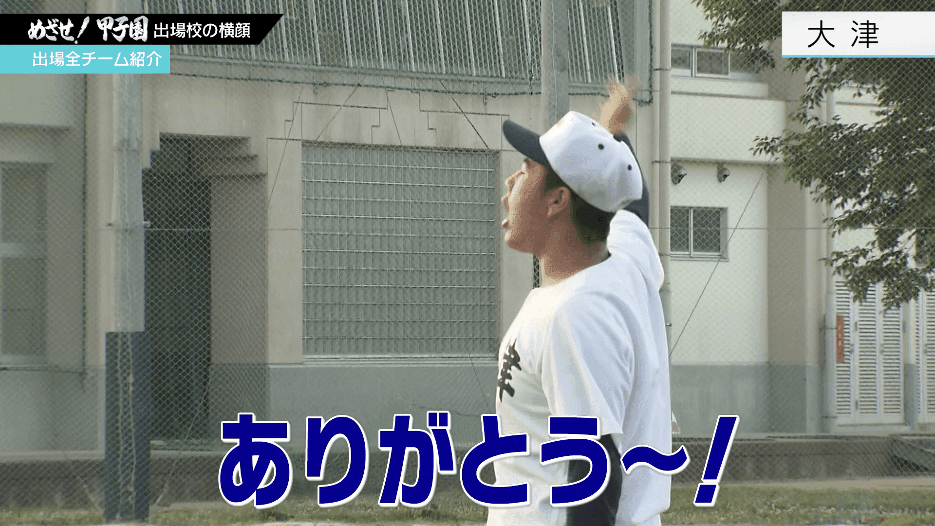 写真6
