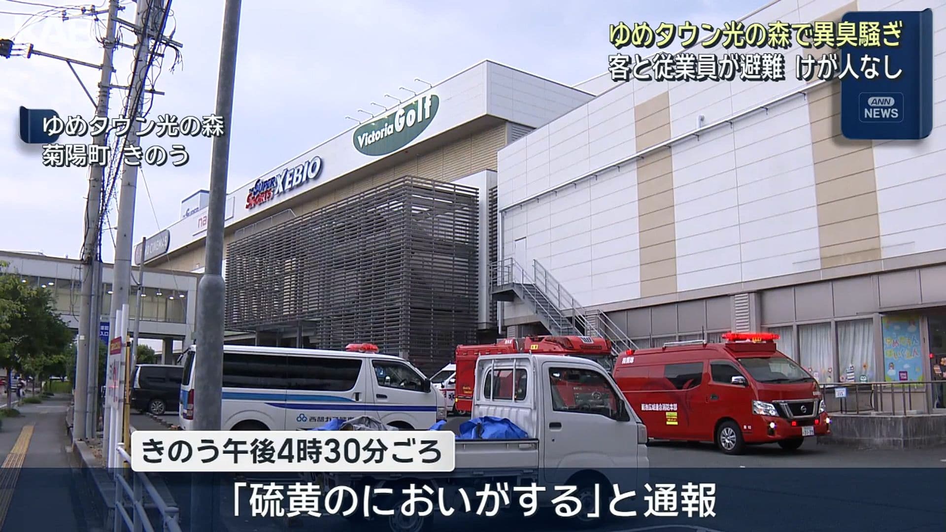 メイン記事画像