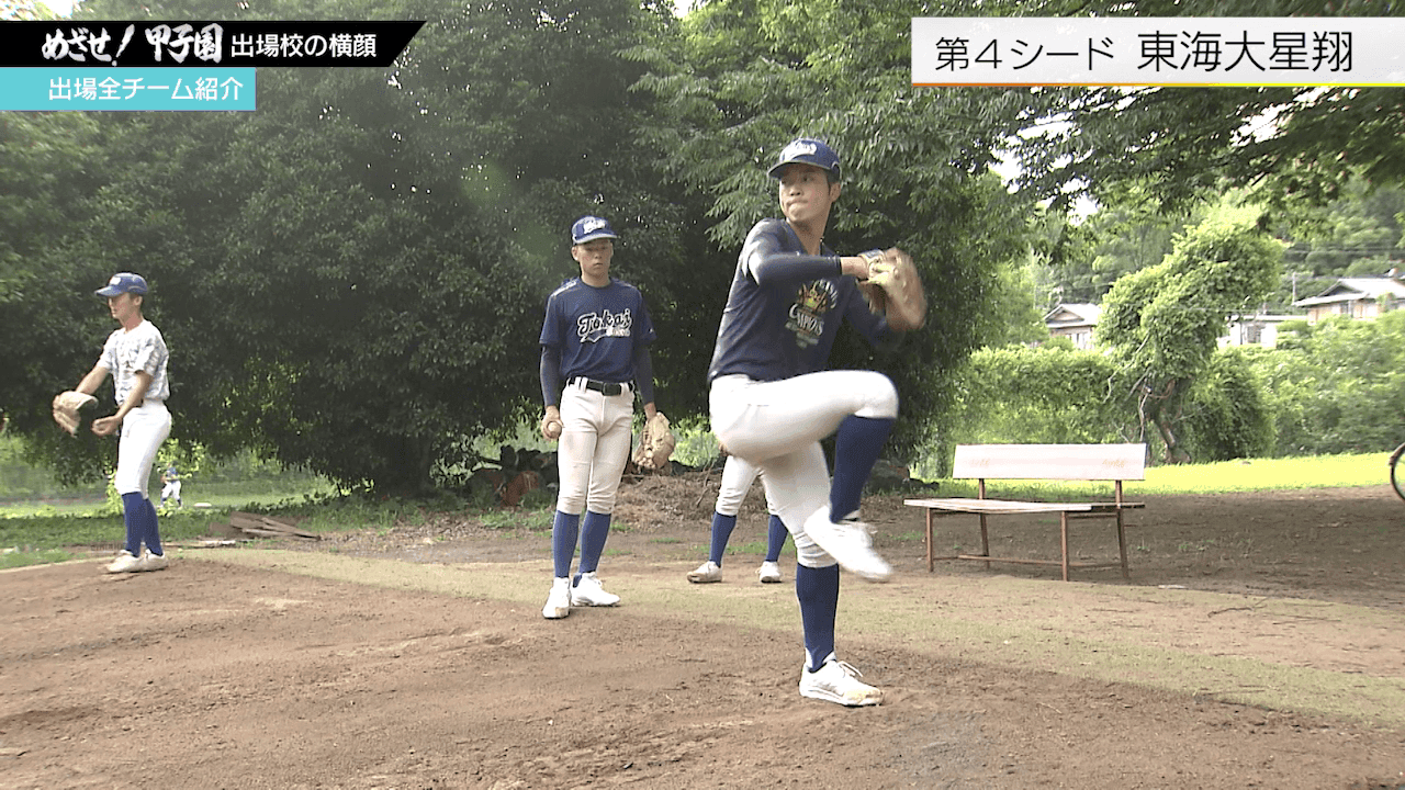 写真11