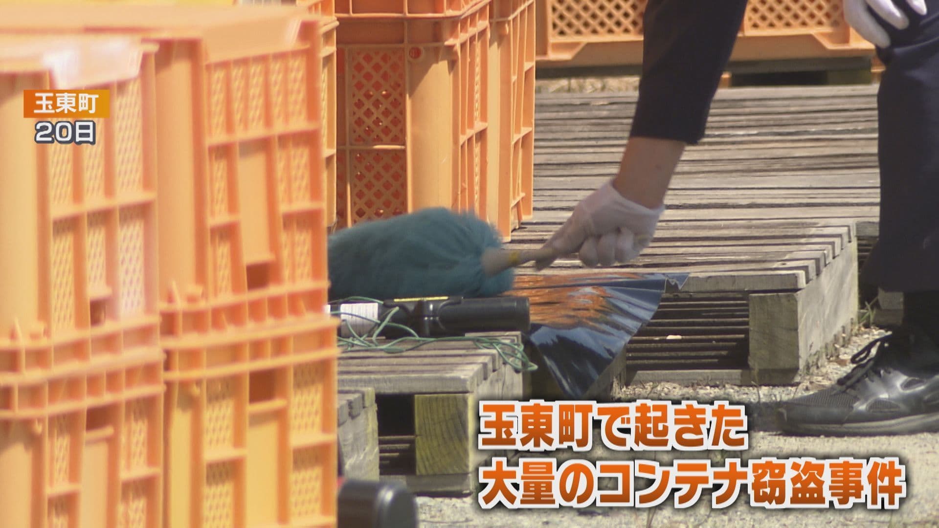 写真6