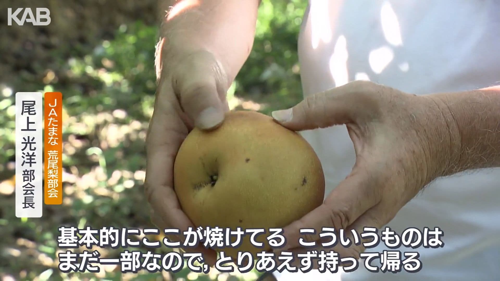 写真3