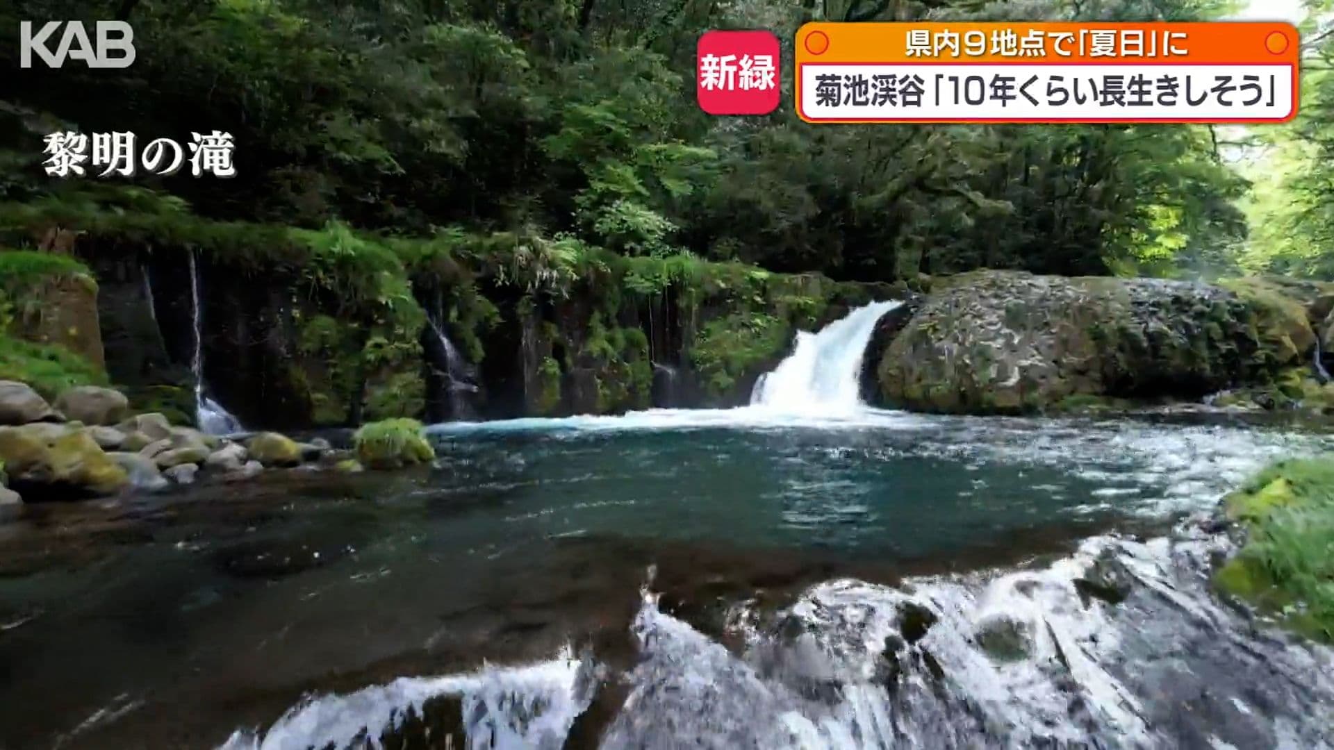 写真6