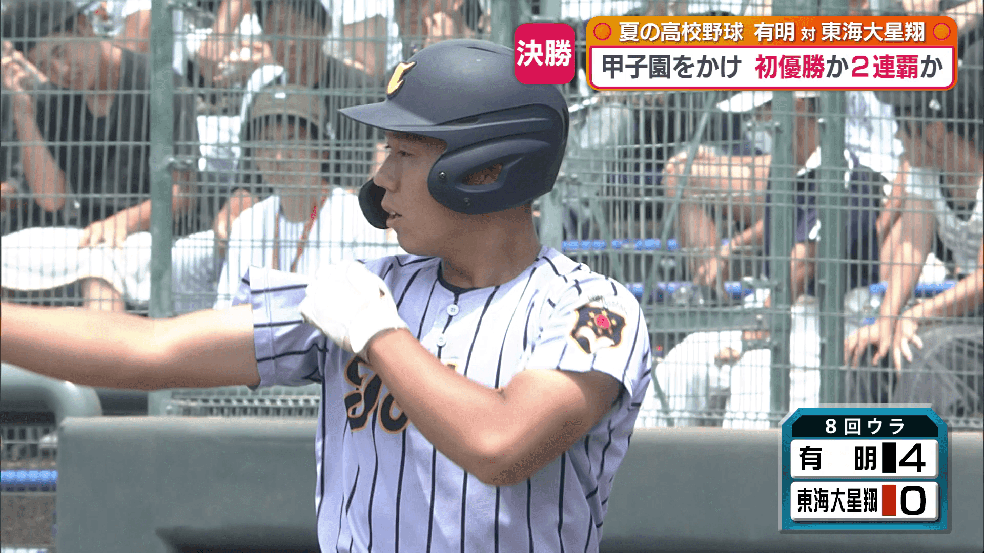 写真12